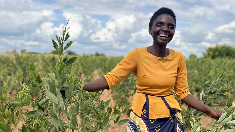 India–Africa Cooperation in Agriculture, Millets & Food Security